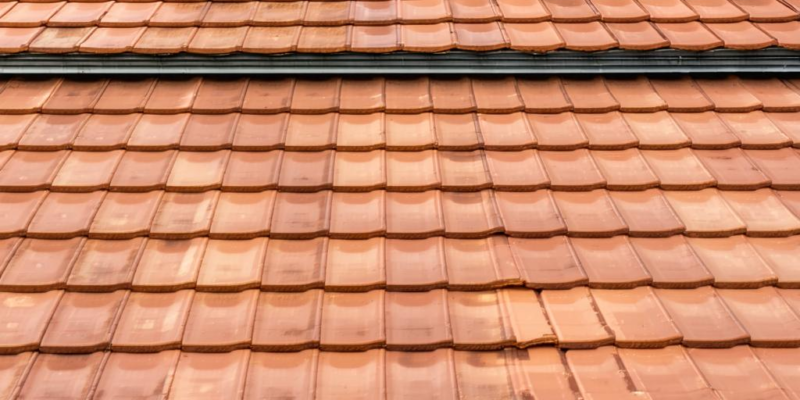 Terrassenüberdachung aus Polen: Wie wählt man das richtige Dachmaterial